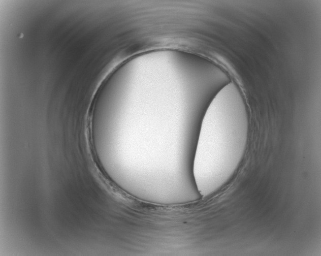 X0000067830899200604130915
