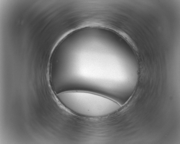 X0000067830904200604130915