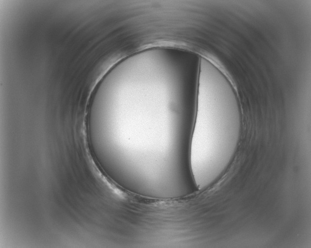X0000067830906200604130915