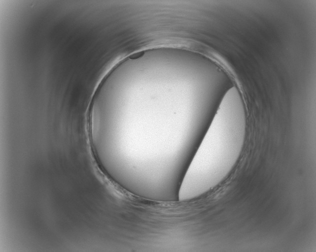 X0000067830907200604130915