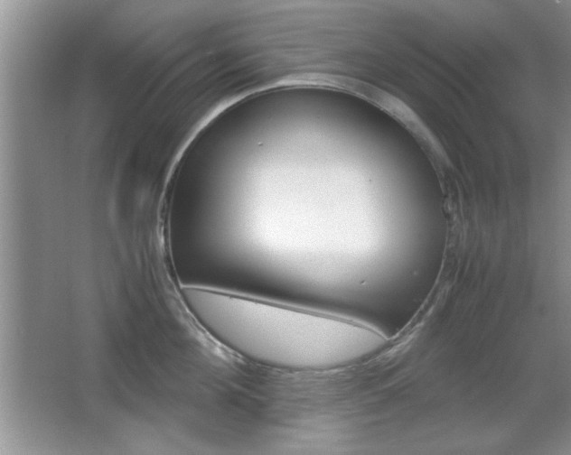 X0000067830908200604130915