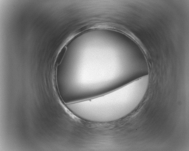 X0000067830909200604130915