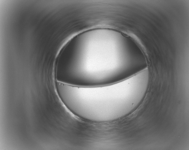 X0000067830910200604130915