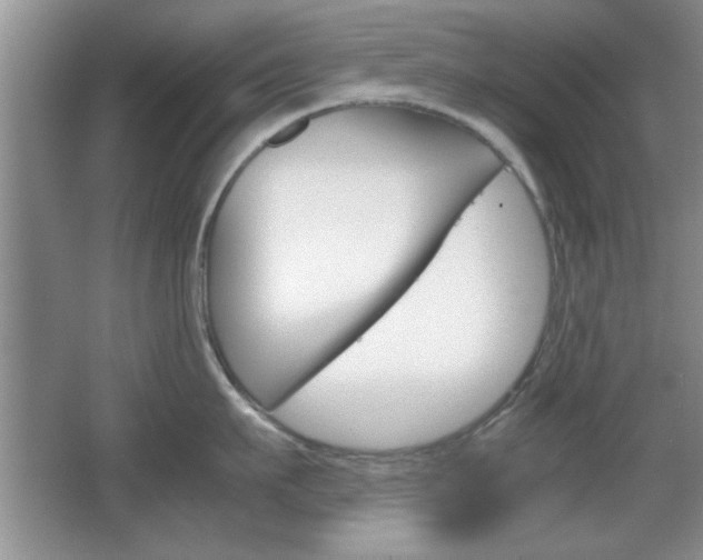 X0000067830911200604130915