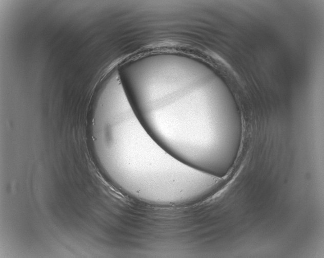 X0000067830921200604130914