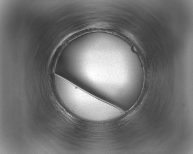 X0000067830923200604130914