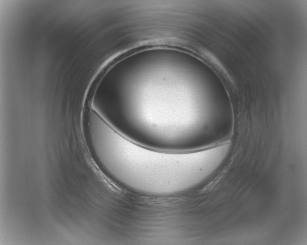 X0000067830932200604130914