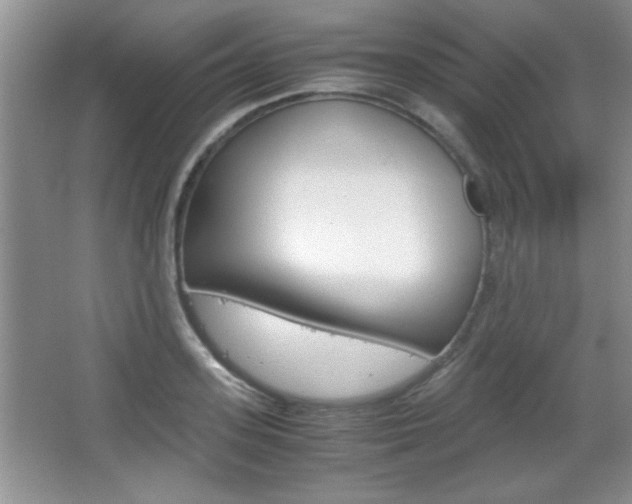 X0000067830939200604130915
