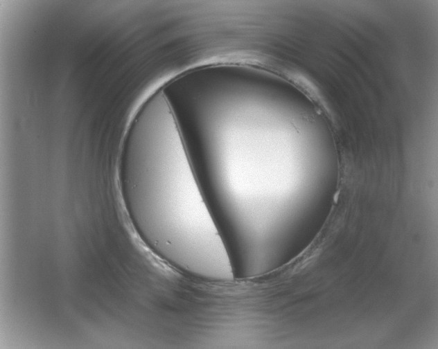 X0000067830952200604130915