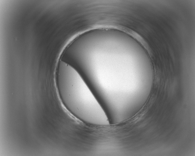 X0000067830958200604130915