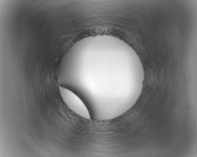 X0000067830962200604130914