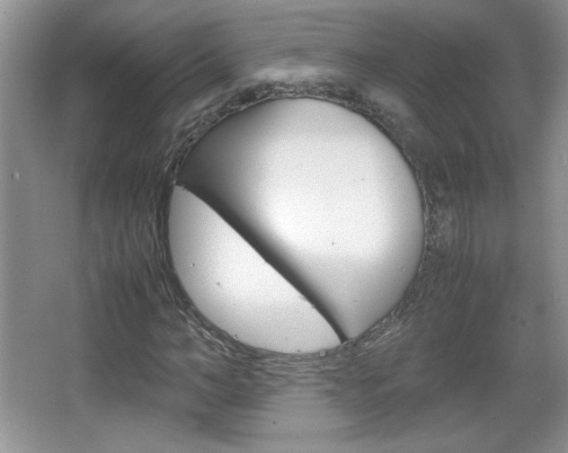X0000067830966200604130914