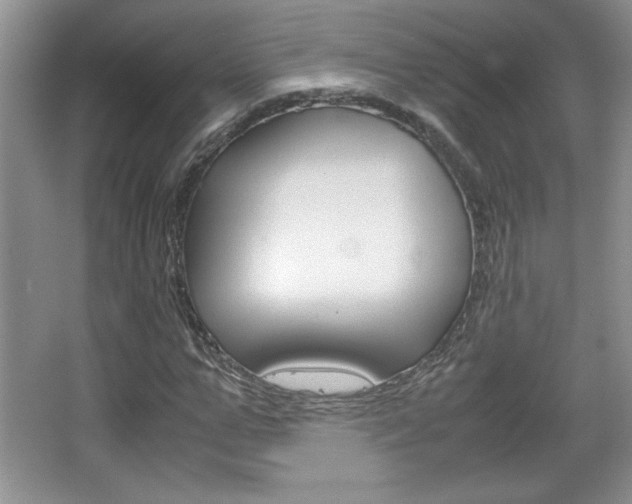X0000067830967200604130914