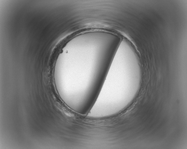 X0000067830971200604130914