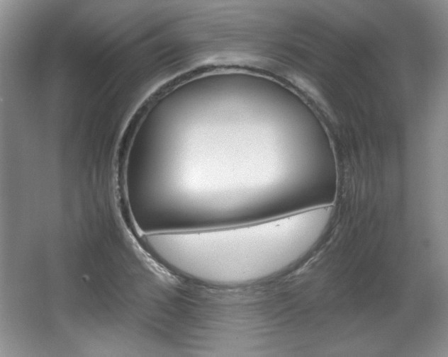X0000067830976200604130914