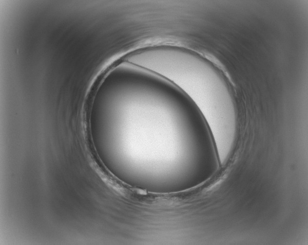 X0000067830981200604130914