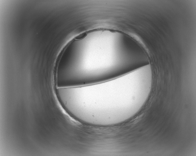 X0000067830999200604130913