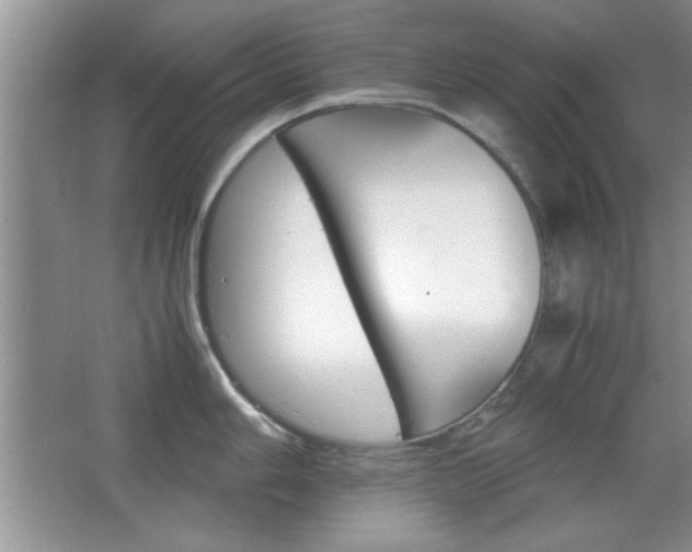 X0000067831006200604130913