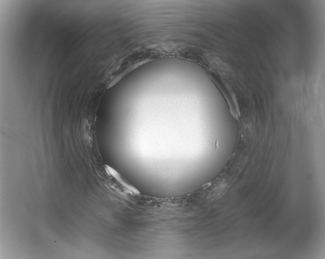X0000067831010200604130912