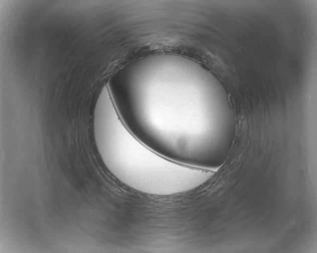 X0000067831012200604130913