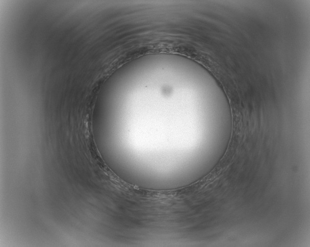 X0000067831013200604130913