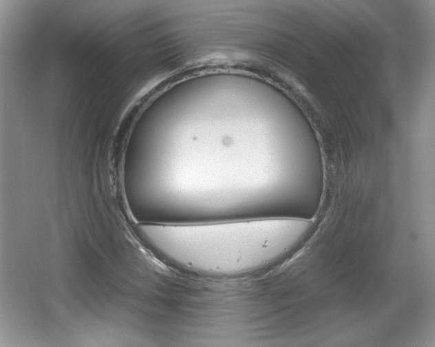 X0000067831018200604130913