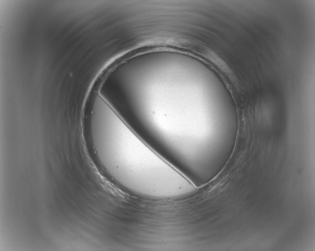 X0000067831020200604130913