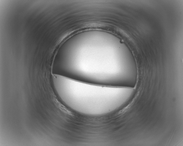 X0000067831025200604130913