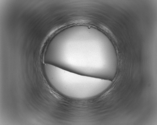 X0000067831027200604130913