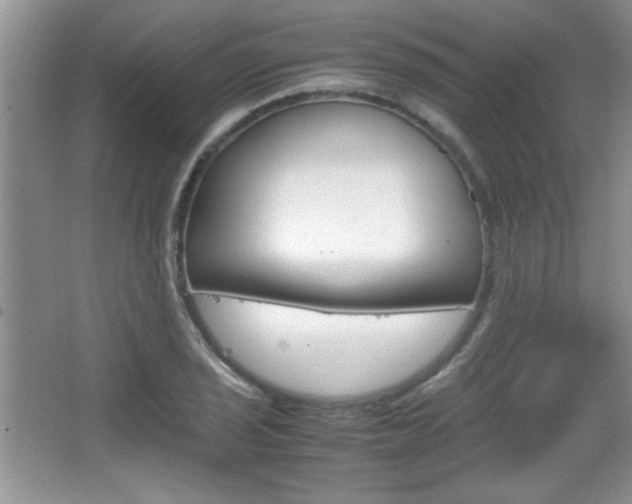 X0000067831029200604130913