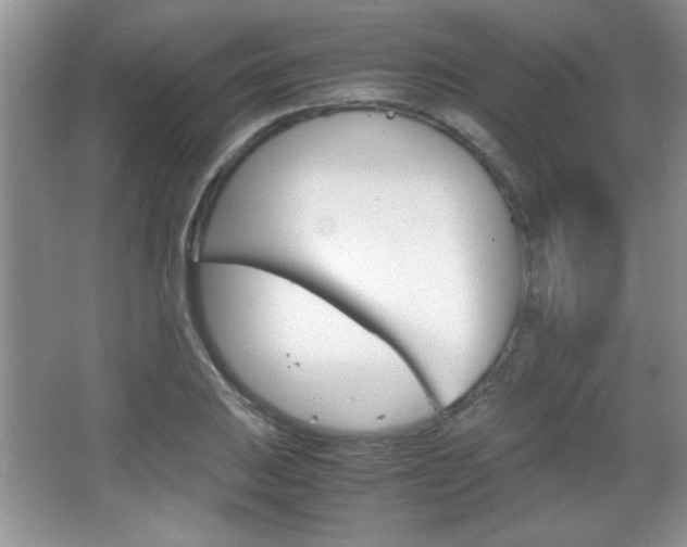 X0000067831031200604130913