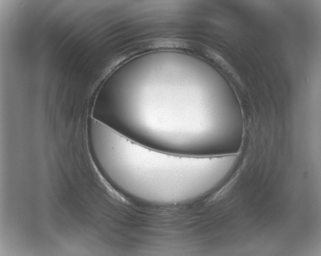 X0000067831033200604130913