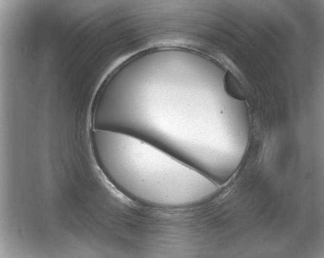 X0000067831036200604130913