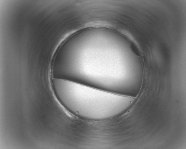 X0000067831040200604130913