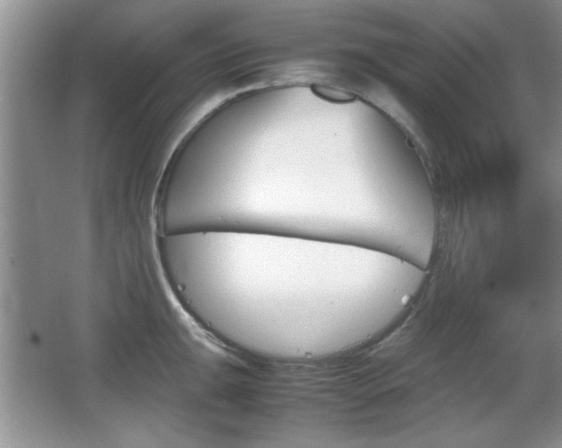 X0000067831047200604130913