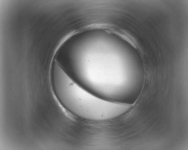 X0000067831050200604130913