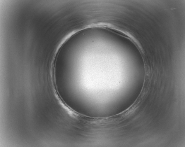 X0000067831054200604130913