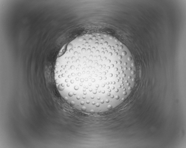 X0000067831059200604130912
