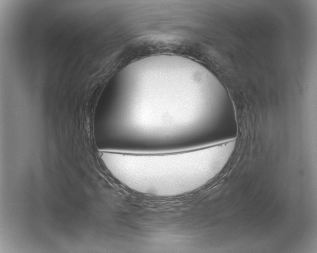 X0000067831061200604130912