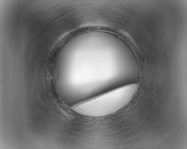 X0000067831064200604130912