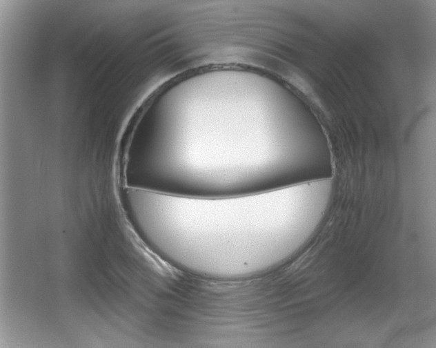 X0000067831076200604130912
