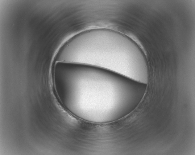 X0000067831080200604130912