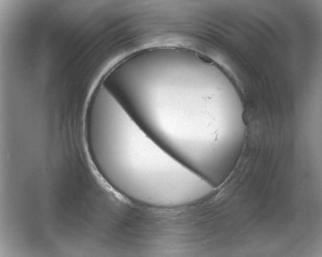 X0000067831088200604130912