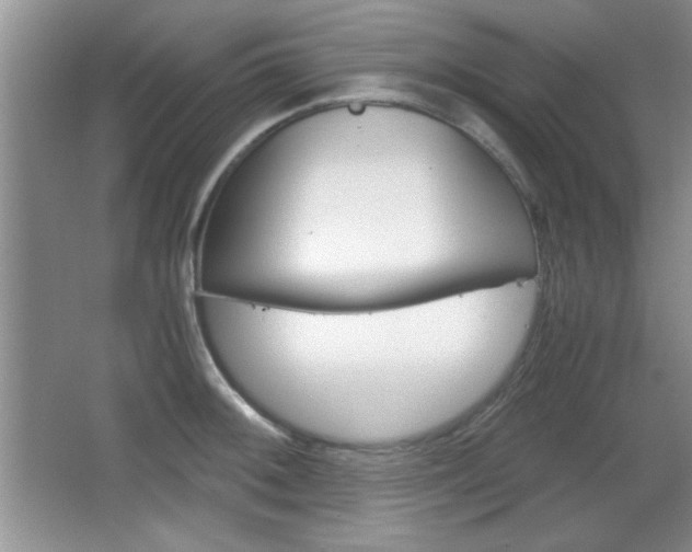 X0000067831092200604130912
