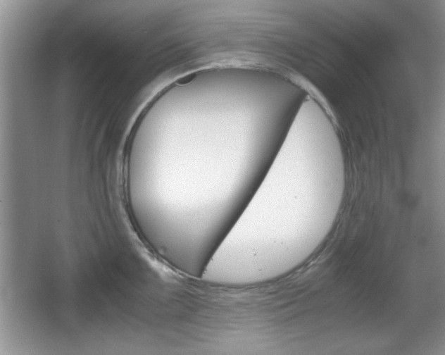 X0000067831099200604130912