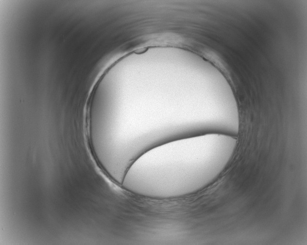 X0000067831103200604130912