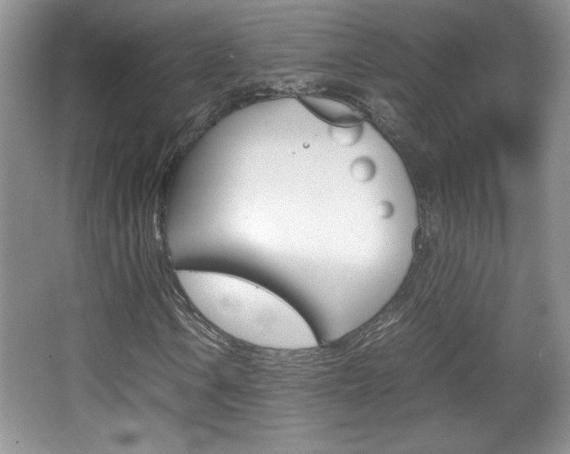 X0000067831106200604130911