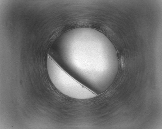 X0000067831107200604130911