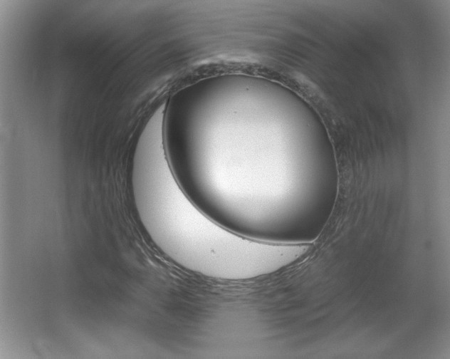 X0000067831110200604130911