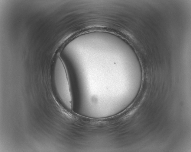 X0000067831113200604130911